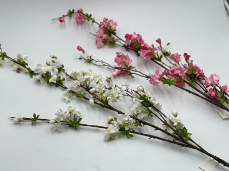 ازهار الكرز-الساكورا